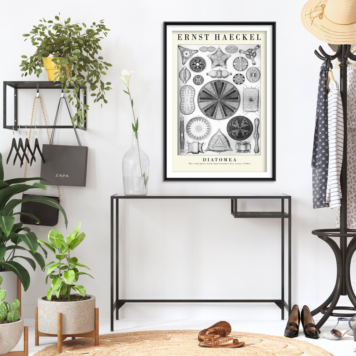 Ernst Haeckel Diatomea Plate 04 Botanical Art Print - Image 2