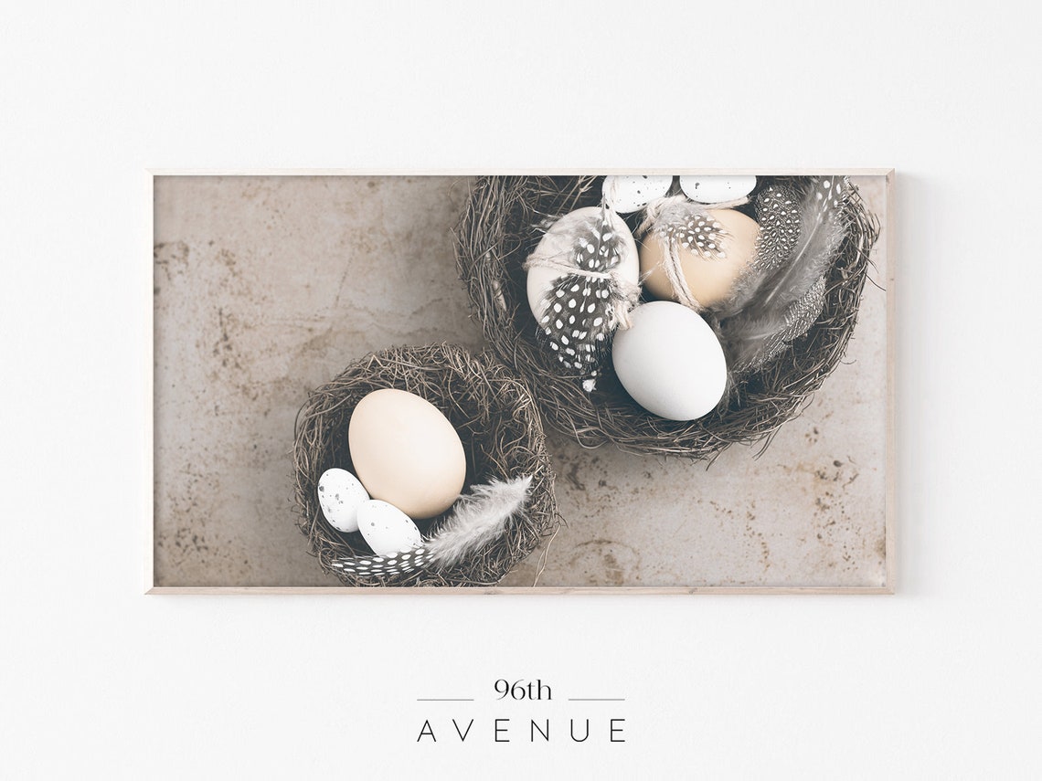Neutral Bird Nests With Eggs And Feathers On Stone Easter Photo Poster
