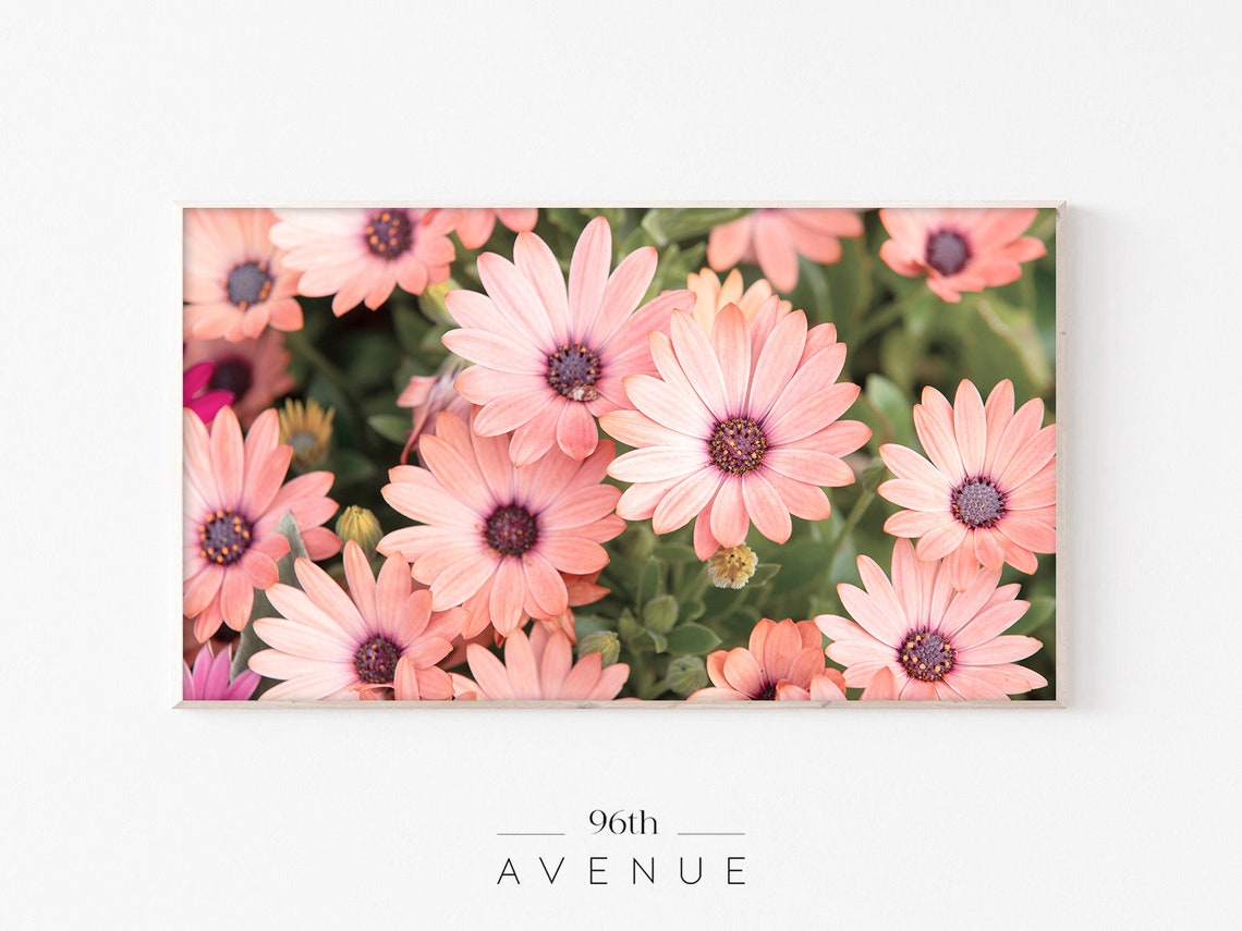 Flower Art For TV