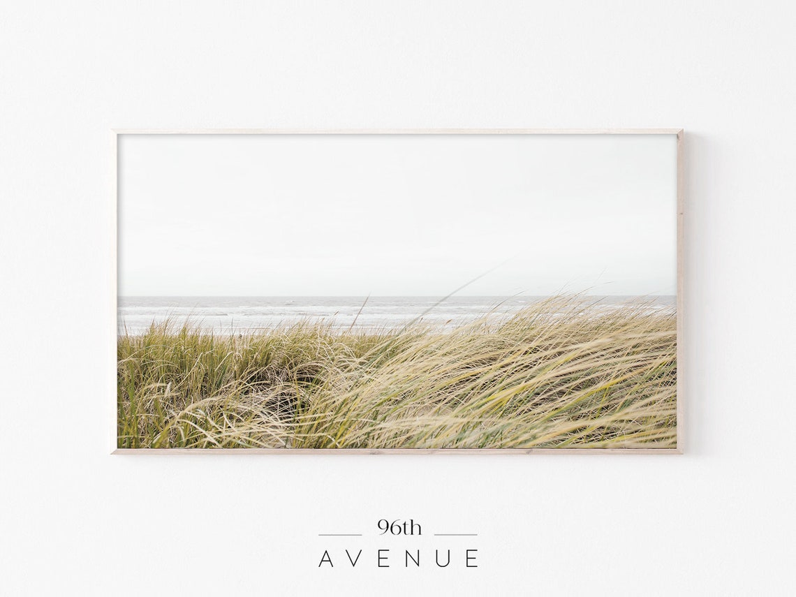 Wind Blown Beach Grass Dunes Soft Gray Shore Coastal Photo Print