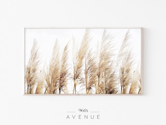 Pampas Grass Farmhouse Art Print for TV Wall
