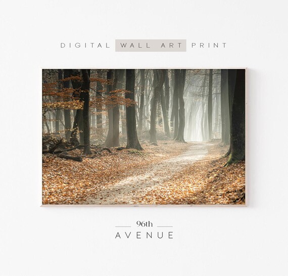 Autumn Forest Wall Art Forest Photography Moody Forest Alley