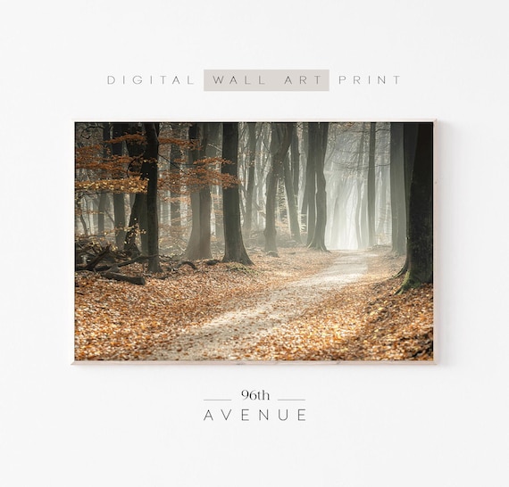 Sunlit Autumn Forest Path Golden Leaves Moody Fall Photography Wall Art