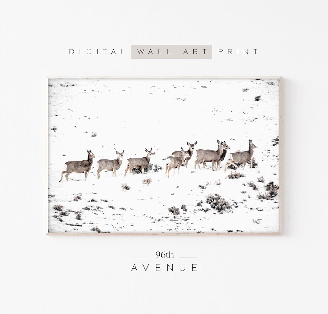 Herd of Deer Walking across a Snowy Field Wildlife Photography Poster