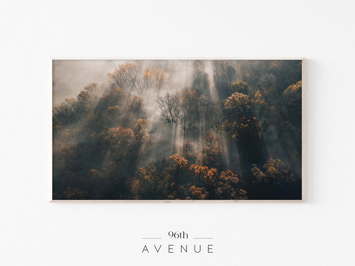 Foggy Forest Art For TV
