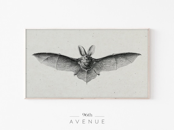 Halloween Bat Sketch, Smart TV Art