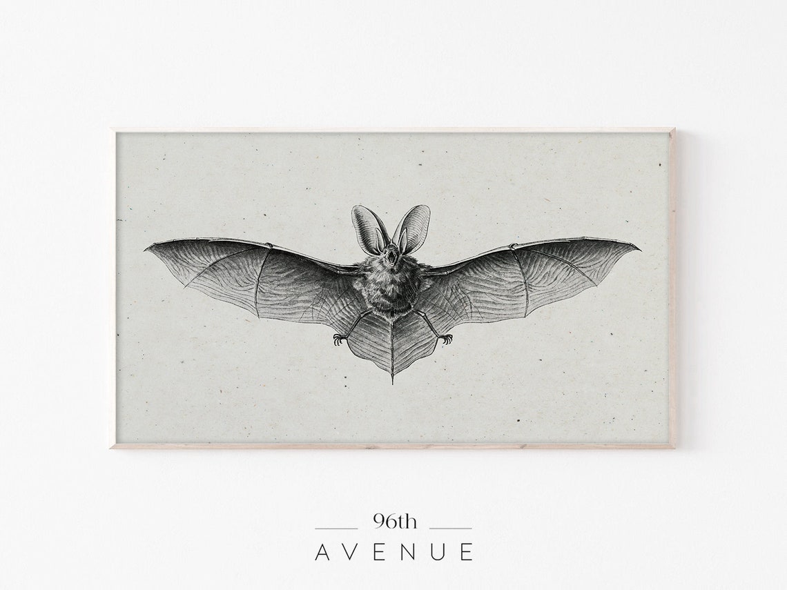 Halloween Bat Sketch, Smart TV Art