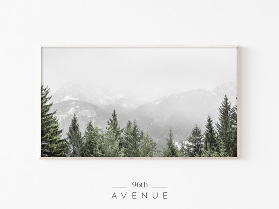 Foggy Forest Art for Smart TV