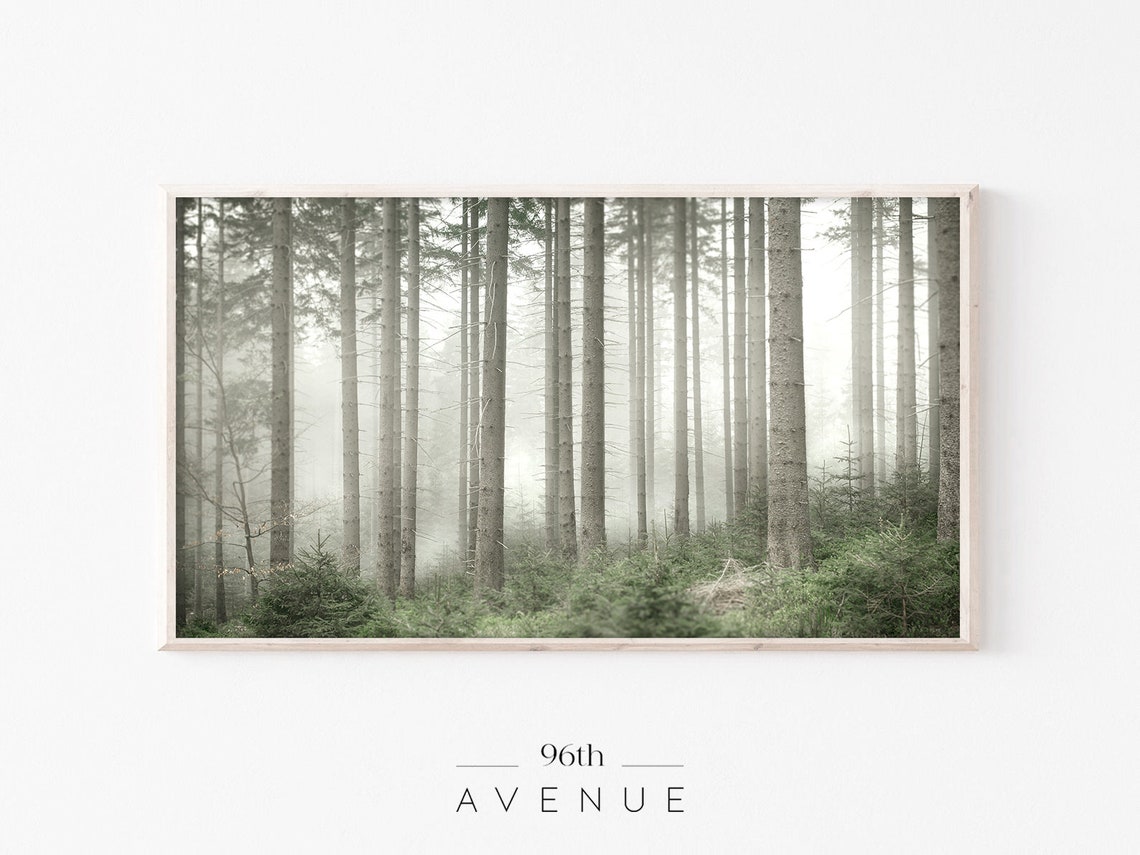 Misty Morning Pine Forest Tall Trunks Foggy Woodland Photo Print