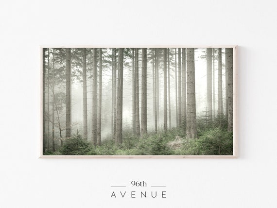 Xsamsung Frame Tv Art Moody Foggy Forest Landscape Tv Art
