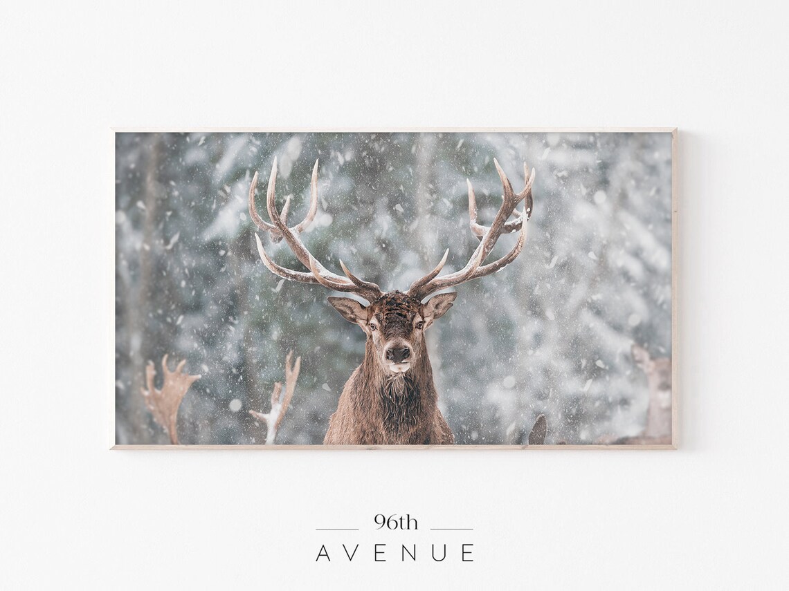 Reindeer In Snow Winter Wildlife Art Print