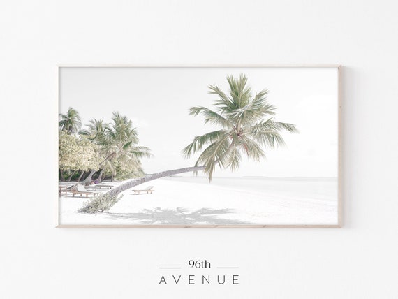 Palm Tree TV Art, Tropical Landscape