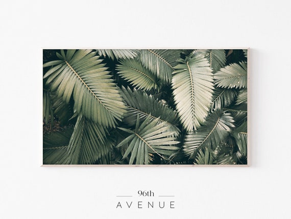 Tropical Palm Leaves Art for TV