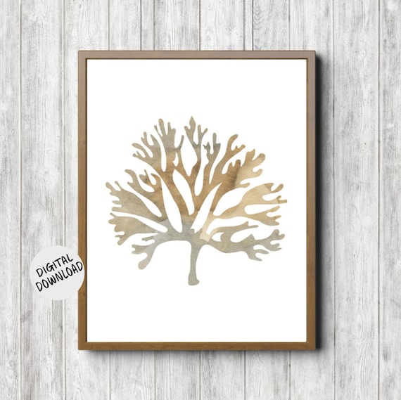 Rustic Watercolor Seaweed Wall Art Sea Coral Print Beach Theme Nursery Poster