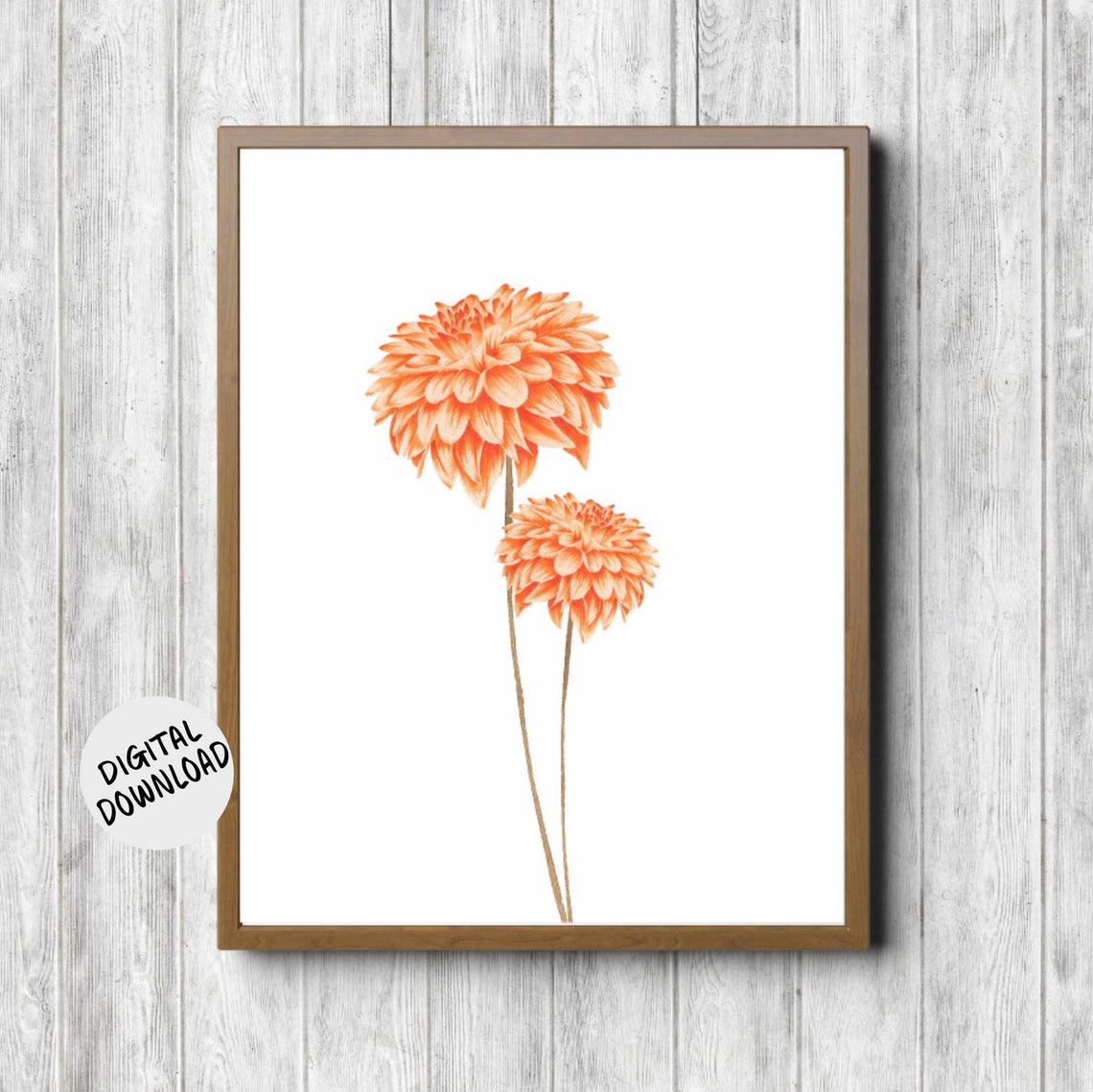 Orange Dahlia Flowers Watercolor Botanical Floral Blooms Print