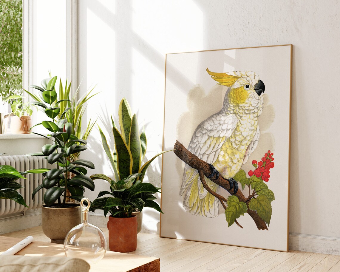 Sulphur Crested Cockatoo Vintage Bird Botanical Antique Art Poster - Image 2