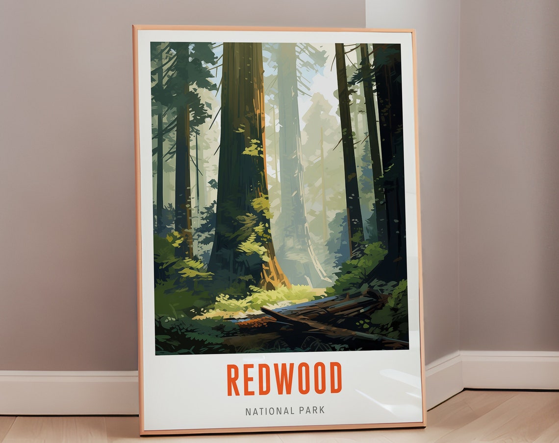 Redwood National Park Forest Mid Century Modern Travel Poster
