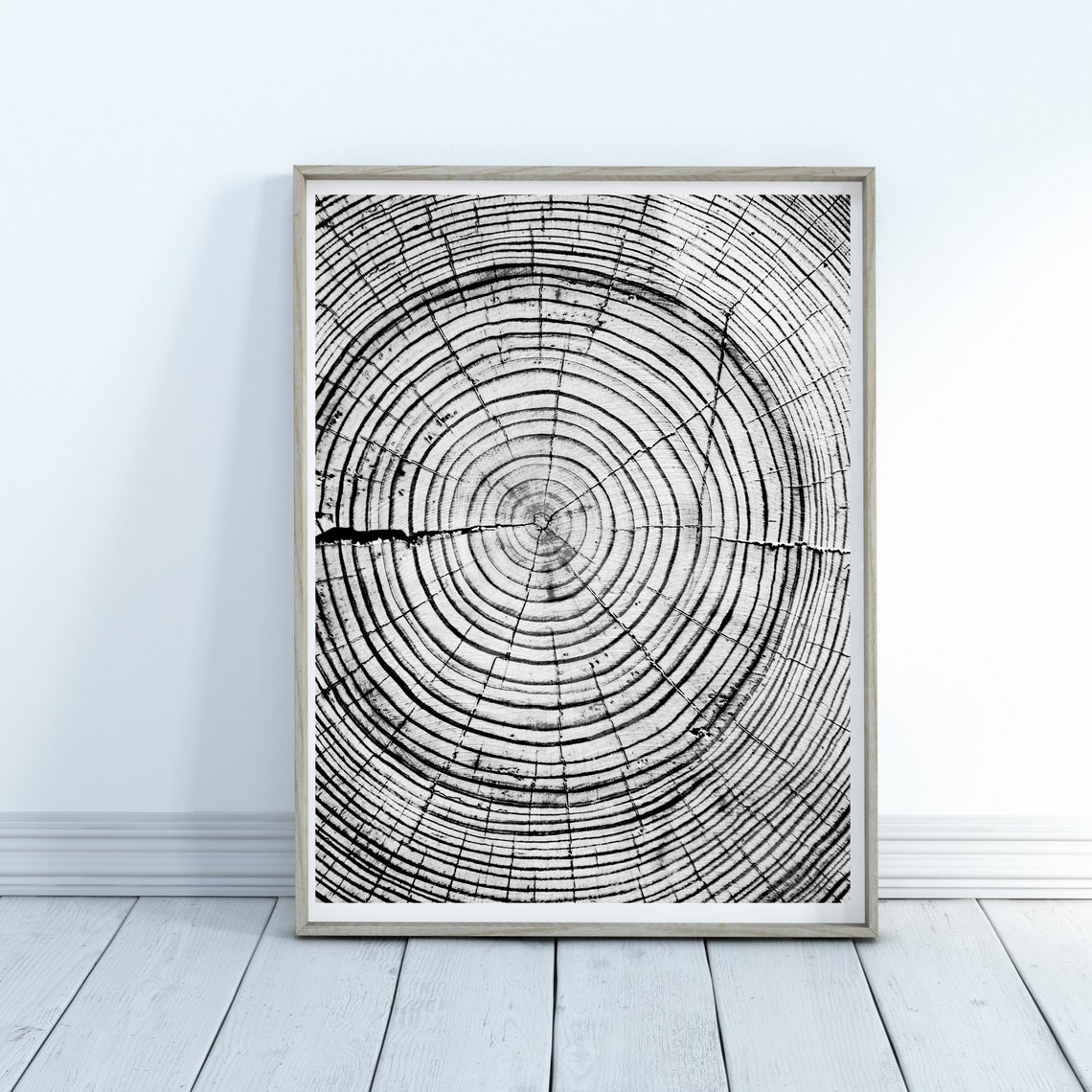 Tree Ring Print Tree Ring Art Print Tree Ring Home Decor Wall Art Print Wall Art Tree Print Tree Stump Print Art