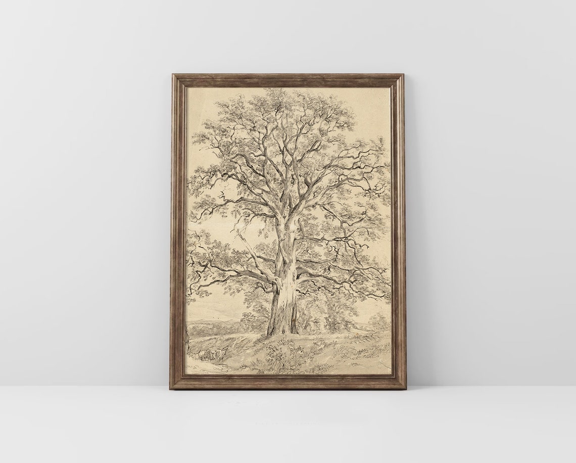 Towering Old Oak Tree Vintage Botanical Pencil Sketch Poster - Image 4