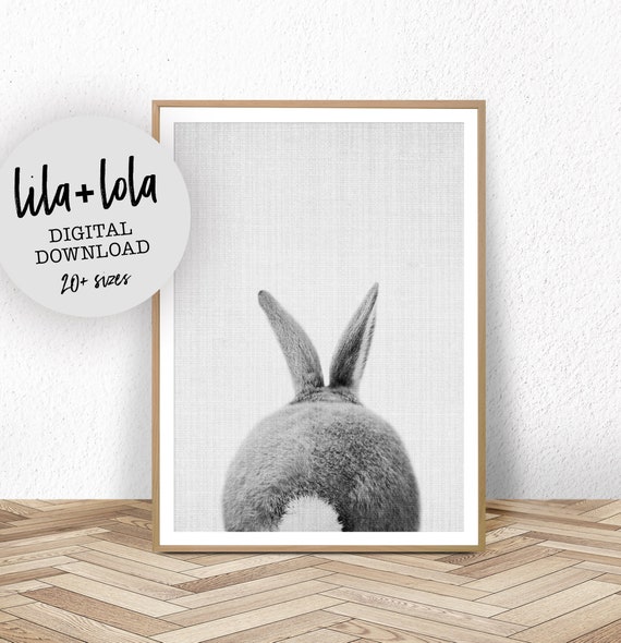 Bunny Tail Nursery Art Print, Black And White Rabbit