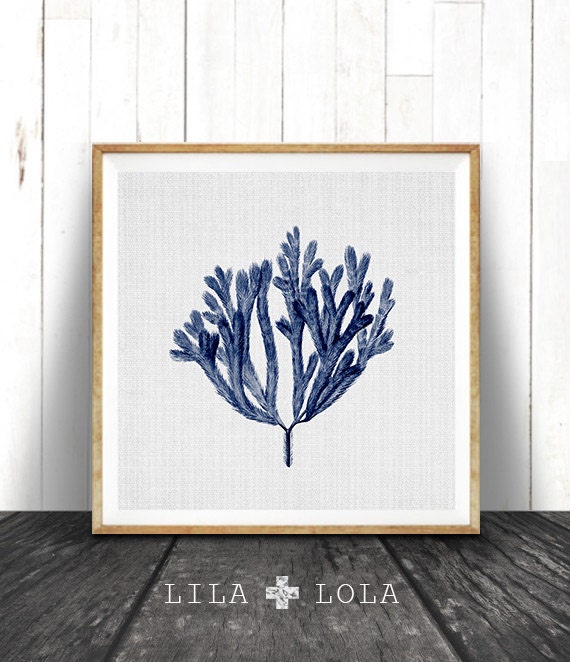 Navy Blue Coral Print, Coastal Seaweed Illustration