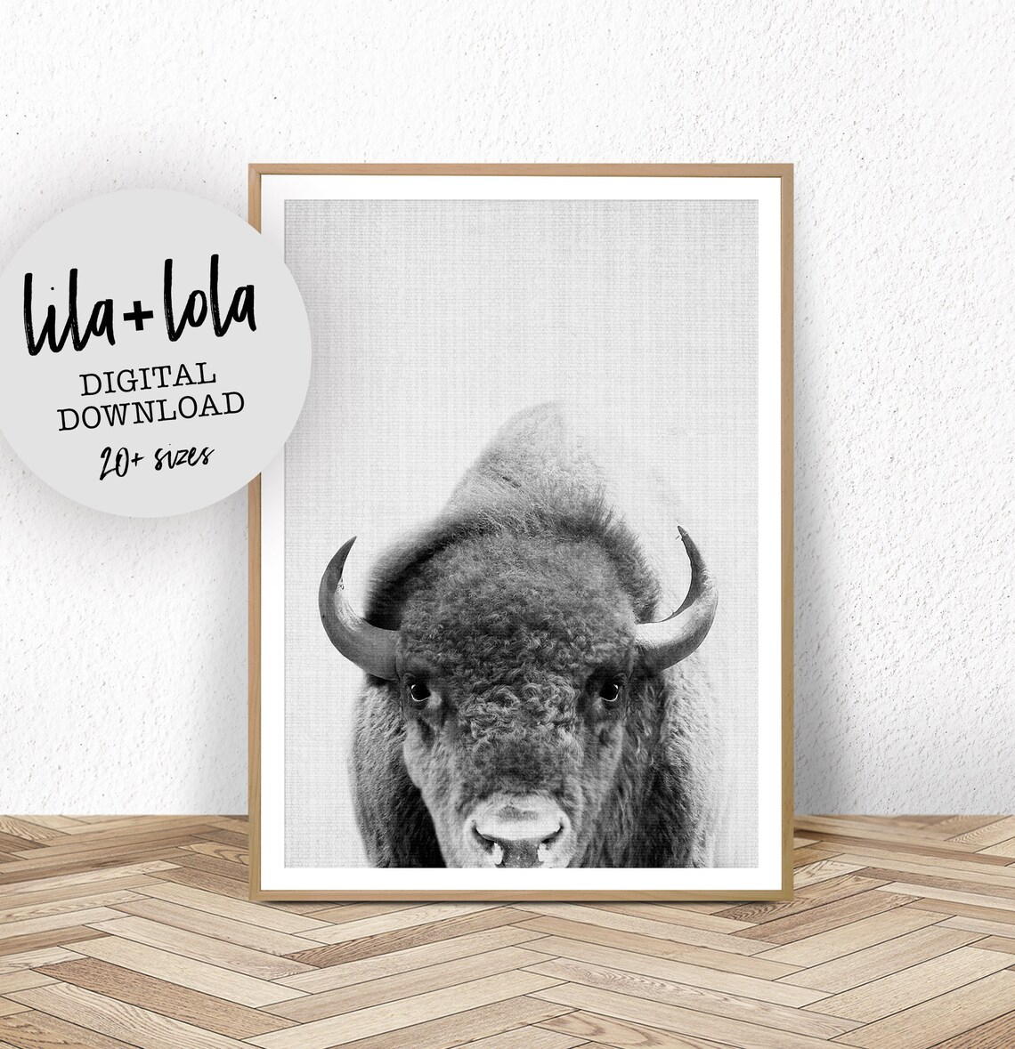 Bison Black and White Wall Art Print