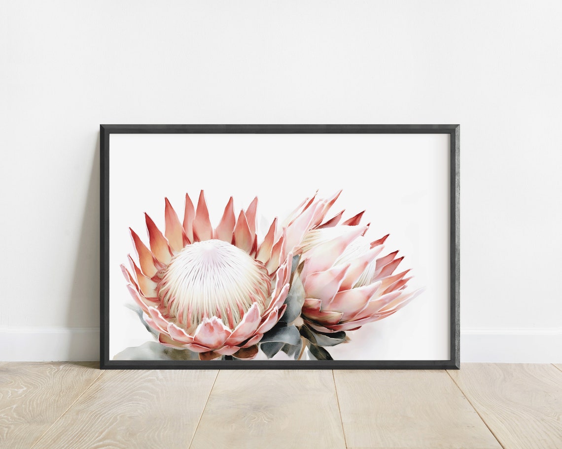 Pink Protea Blossoms Watercolor Close-Up Floral Botanical Poster - Image 3