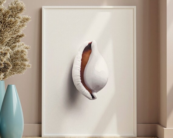White Cowrie Seashell Minimalist Neutral Coastal Photography Print