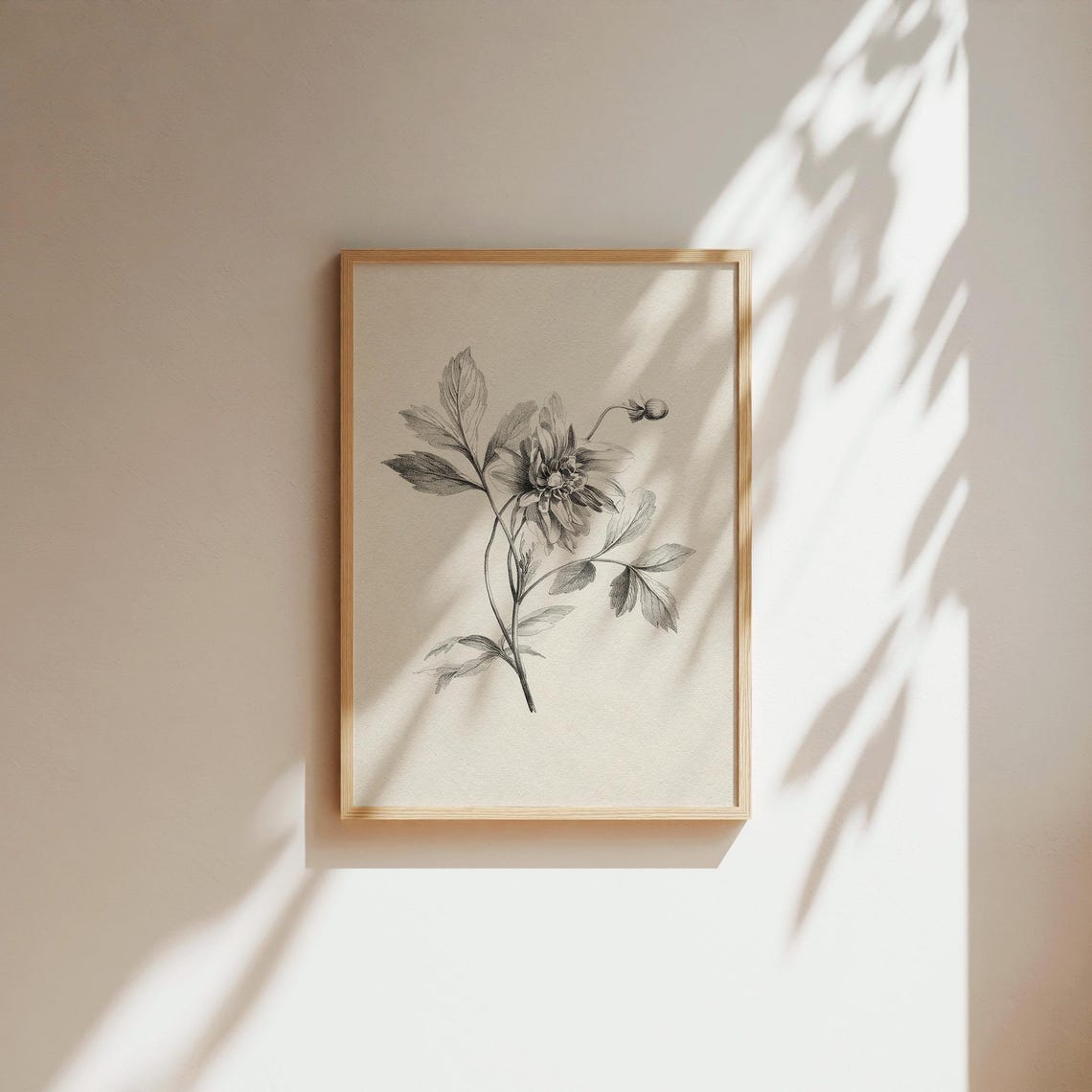 Vintage Black White Botanical Engraving Flower Sketch Neutral Wall Art - Image 3