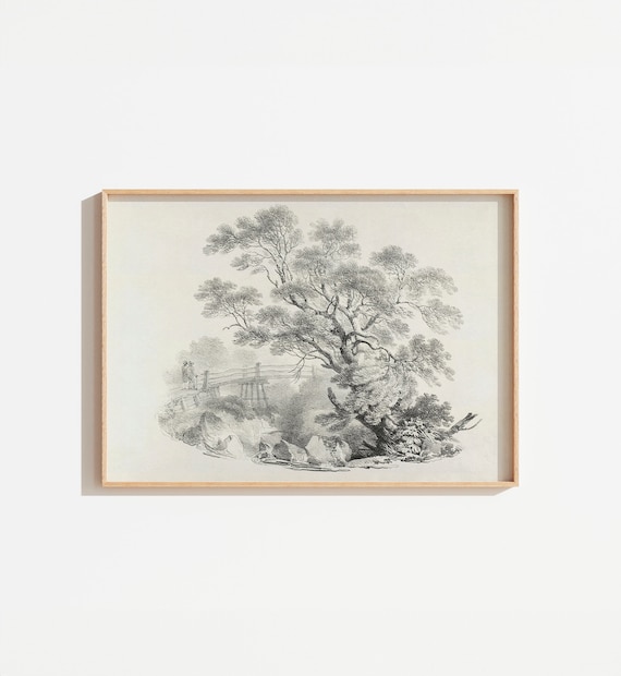 Vintage Black and White Tree Sketch Art Print