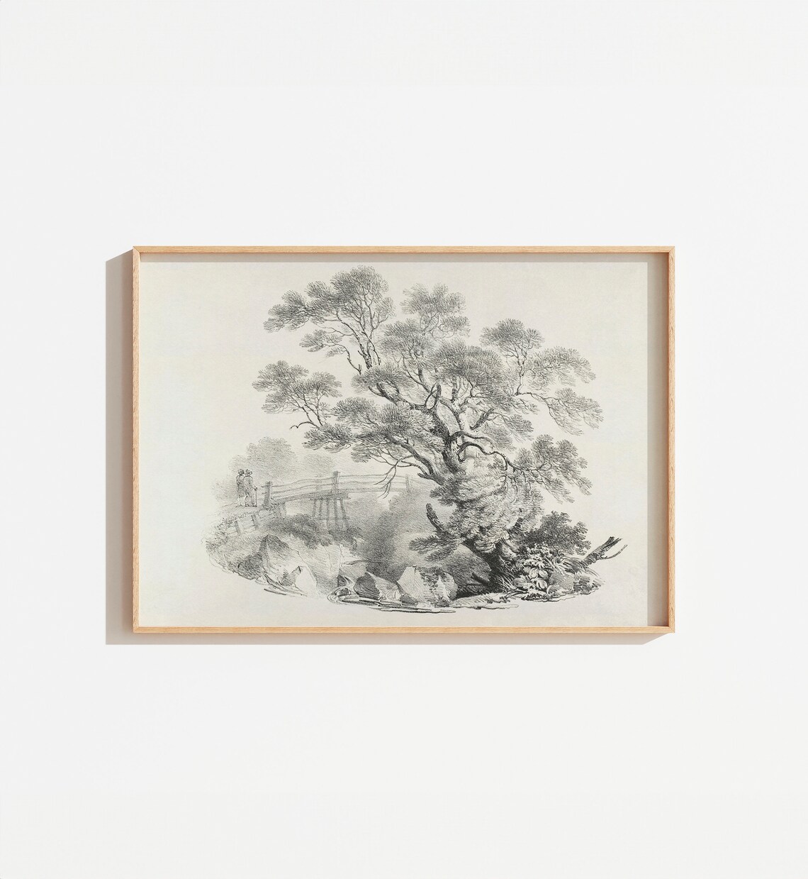 Vintage Black and White Tree Sketch Art Print