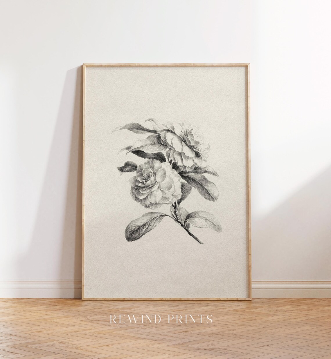 Vintage Cream Black Botanical Engraving Camellia Flower Wall Art - Image 5