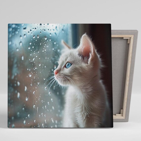 White Kitten Rainy Window Blue Eyes Cozy Photography Wall Poster