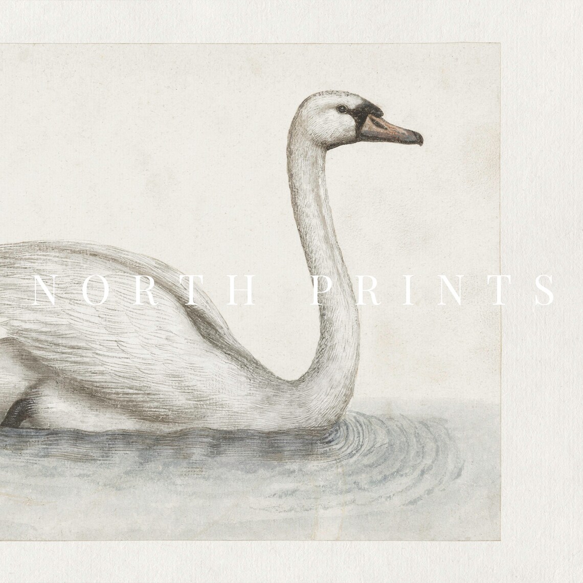 Swan Vintage Nursery Farmhouse Art Print - Image 3