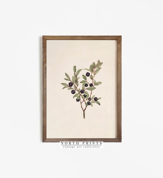 Vintage Botanical Berry Watercolor Art Print