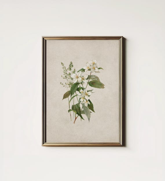 Neutral Botanical Prints, Scandinavian Farmhouse Art