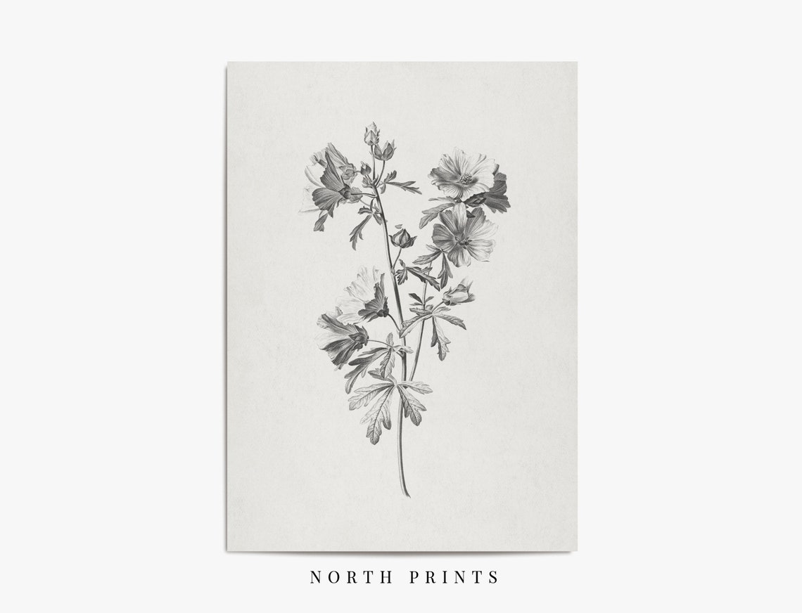 Vintage Grayscale Mallow Flower Sketch Botanical Study Art Print - Image 4