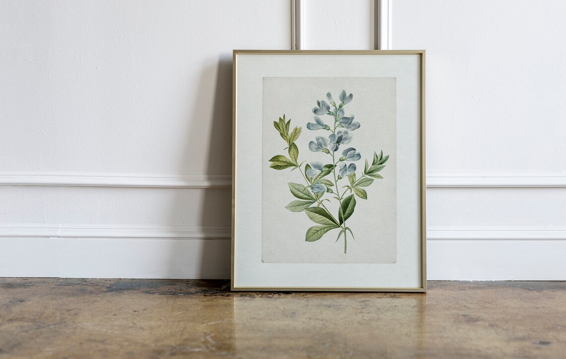 Farmhouse Botanical Blue Flower Watercolor Art Print - Image 3