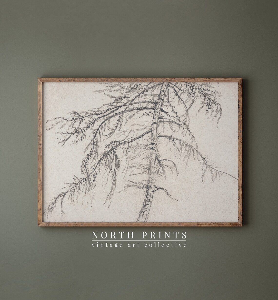 Rustic Tree Sketch, Vintage Tree Drawing - Image 2
