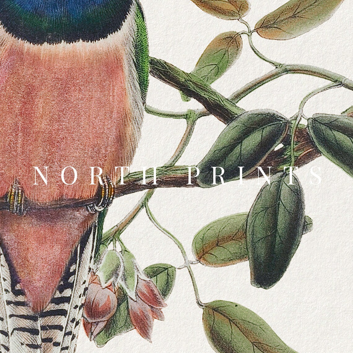 Vintage Bird Nursery Art, Country Farmhouse Print - Image 2