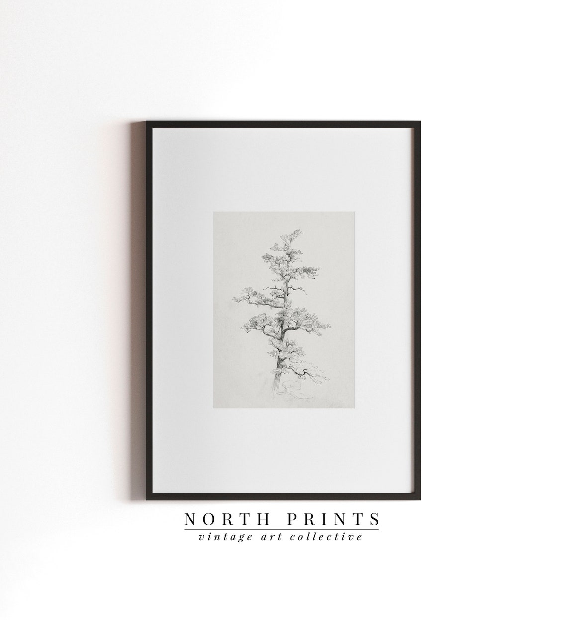 Neutral Antique Pine Tree Drawing Vintage Sketch Art Soft Decor Art 196 - Image 4