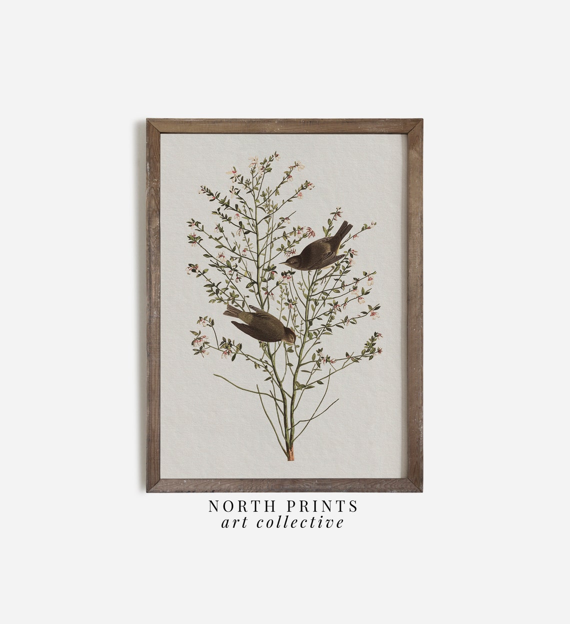 Vintage Songbird Pair Floral Branch Farmhouse Cottage Art Poster