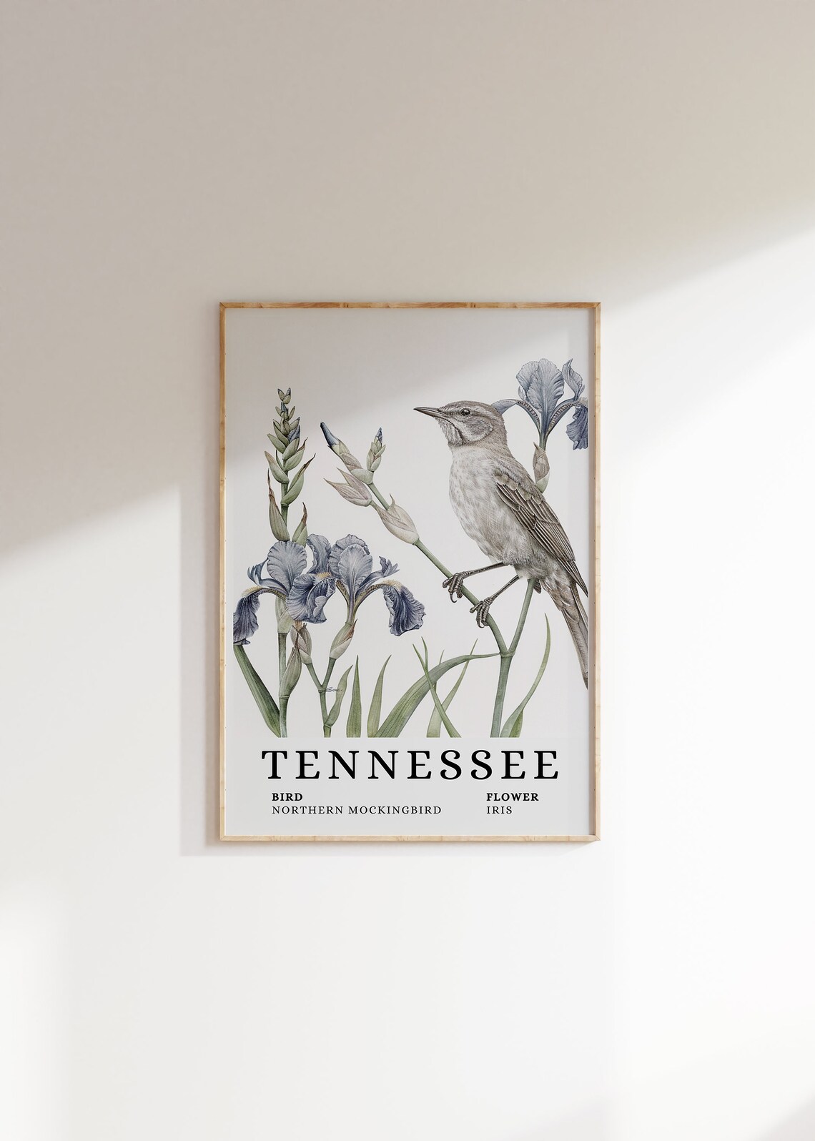 Tennessee Northern Mockingbird Iris Bird and Flower Art Print