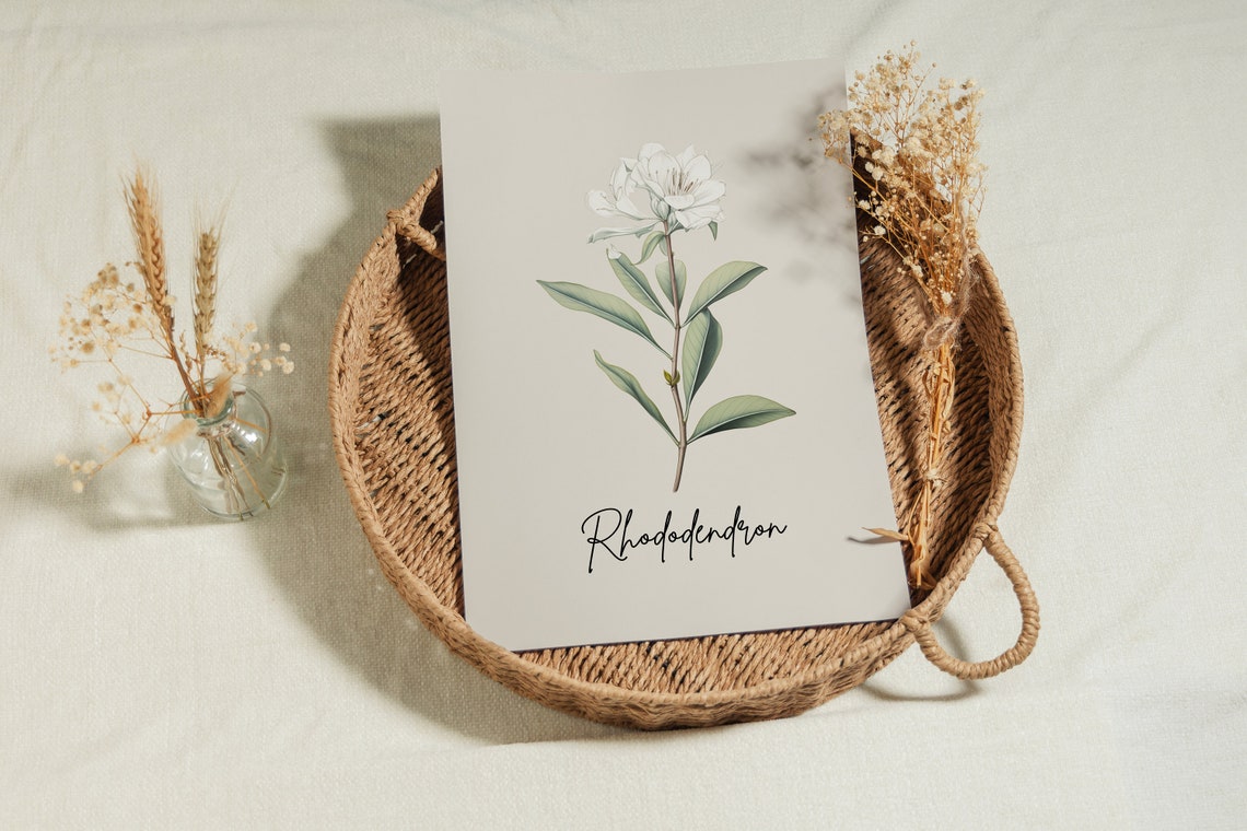 Rhododendron Botanical Line Art Minimalist Flower Wall Art Print - Image 3