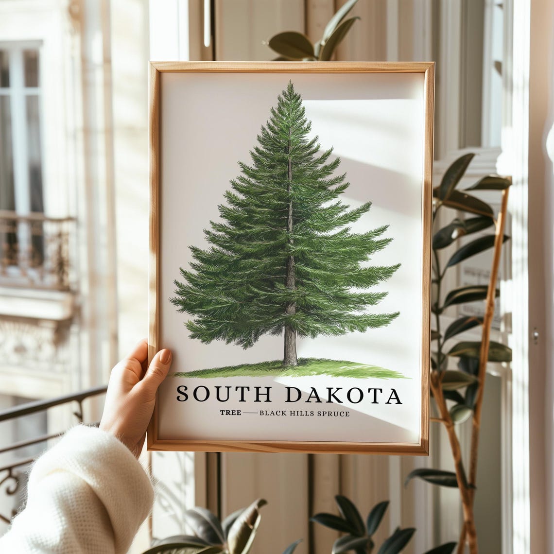 South Dakota Black Hills Spruce Tree Botanical State Symbol Poster - Image 2
