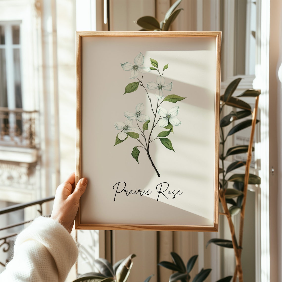 Prairie Rose Botanical Watercolor State Flower Minimalist Art Print