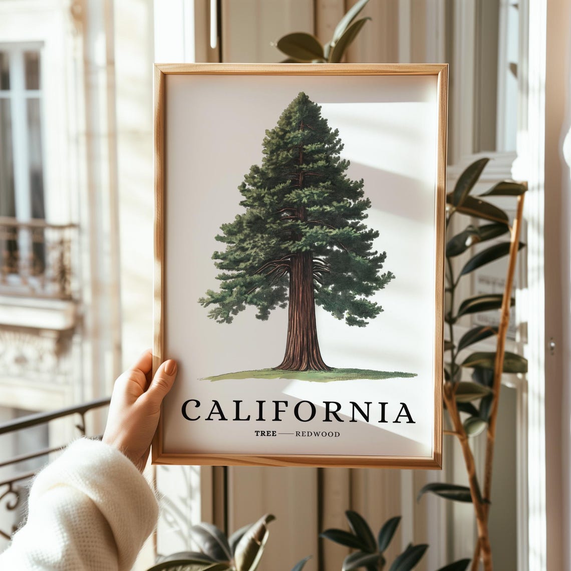 California Redwood Tree Botanical Minimalist State Symbol Poster - Image 2
