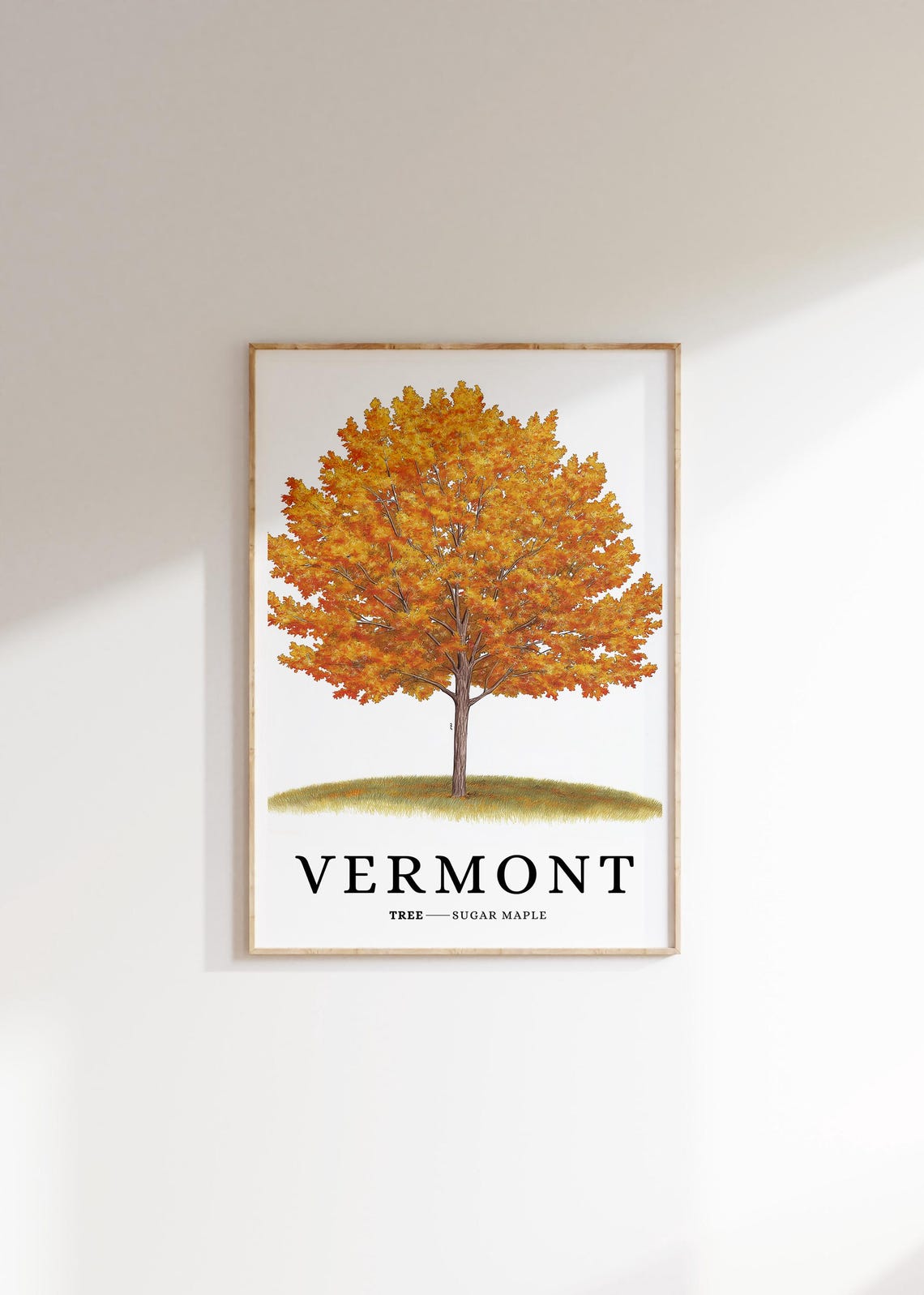Vermont Sugar Maple Fall Foliage Botanical New England Poster