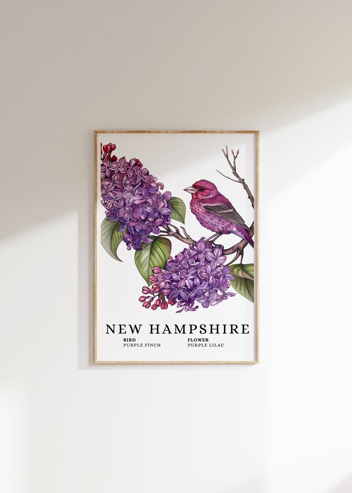 New Hampshire Purple Finch State Bird And Purple Lilac Art Print Finch Bird Lilac Flower Art New Hampshire State Wall Art Print