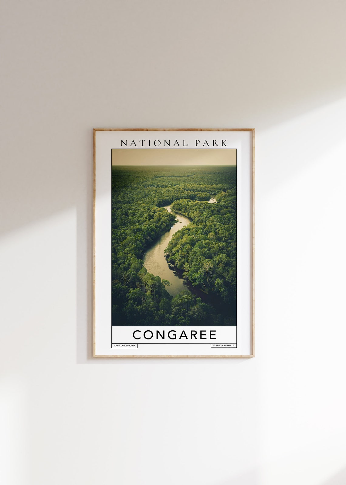 Congaree South Carolina Old Growth Forest River Aerial Park Poster